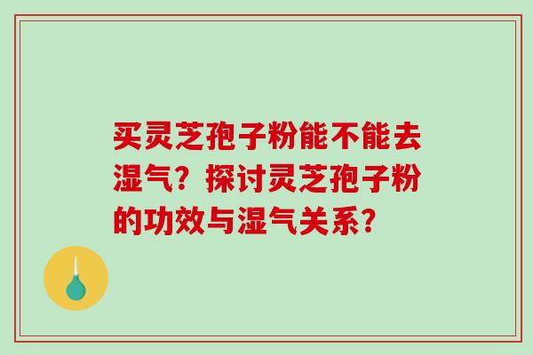买灵芝孢子粉能不能去湿气?探讨灵芝孢子粉的功效与湿气关系?-第1张图片-破壁灵芝孢子粉研究指南 买灵芝孢子粉能不能去湿气?探讨灵芝孢子粉的功效与湿气关系?-第1张图片-破壁灵芝孢子粉研究指南