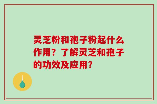 灵芝粉和孢子粉起什么作用?了解灵芝和孢子的功效及应用?-第1张图片-破壁灵芝孢子粉研究指南 灵芝粉和孢子粉起什么作用?了解灵芝和孢子的功效及应用?-第1张图片-破壁灵芝孢子粉研究指南
