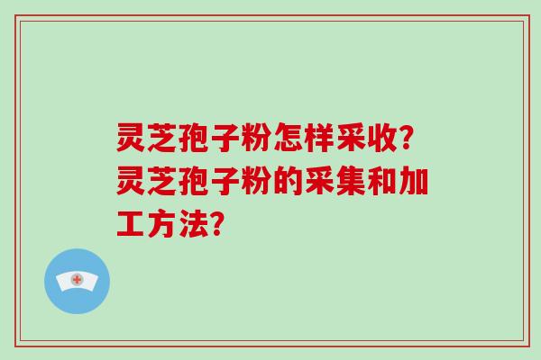 灵芝孢子粉怎样采收？灵芝孢子粉的采集和加工方法？-第1张图片-破壁灵芝孢子粉研究指南