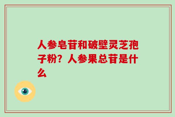 人参皂苷和破壁灵芝孢子粉?人参果总苷是什么-第1张图片-破壁灵芝孢子粉研究指南 人参皂苷和破壁灵芝孢子粉?人参果总苷是什么-第1张图片-破壁灵芝孢子粉研究指南