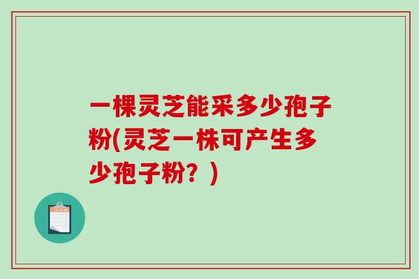 一棵灵芝能采多少孢子粉(灵芝一株可产生多少孢子粉?)-第1张图片-破壁灵芝孢子粉研究指南 一棵灵芝能采多少孢子粉(灵芝一株可产生多少孢子粉?)-第1张图片-破壁灵芝孢子粉研究指南