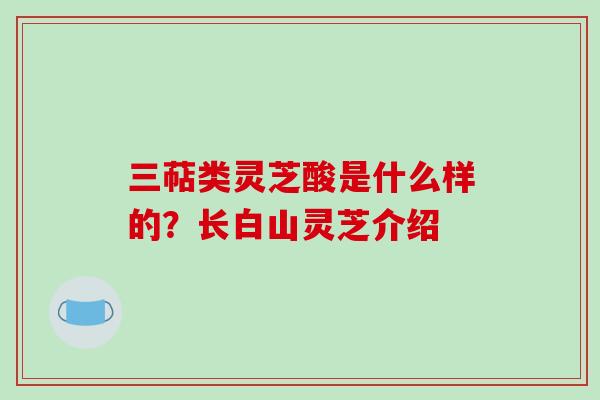 三萜类灵芝酸是什么样的?长白山灵芝介绍-第1张图片-破壁灵芝孢子粉研究指南 三萜类灵芝酸是什么样的?长白山灵芝介绍-第1张图片-破壁灵芝孢子粉研究指南