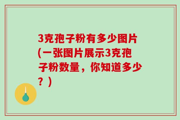 3克孢子粉有多少图片(一张图片展示3克孢子粉数量，你知道多少？)-第1张图片-破壁灵芝孢子粉研究指南