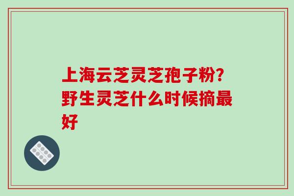 上海云芝灵芝孢子粉?野生灵芝什么时候摘最好-第1张图片-破壁灵芝孢子粉研究指南 上海云芝灵芝孢子粉?野生灵芝什么时候摘最好-第1张图片-破壁灵芝孢子粉研究指南
