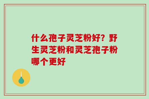 什么孢子灵芝粉好?野生灵芝粉和灵芝孢子粉哪个更好-第1张图片-破壁灵芝孢子粉研究指南 什么孢子灵芝粉好?野生灵芝粉和灵芝孢子粉哪个更好-第1张图片-破壁灵芝孢子粉研究指南