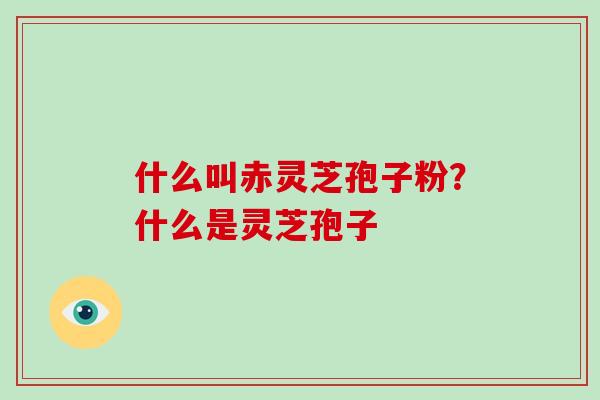 什么叫赤灵芝孢子粉？什么是灵芝孢子-第1张图片-破壁灵芝孢子粉研究指南