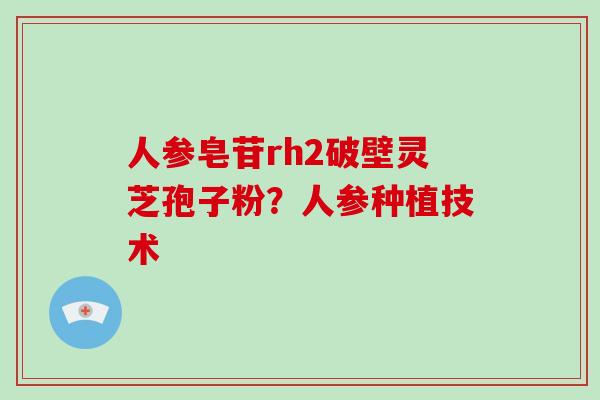 人参皂苷rh2破壁灵芝孢子粉?人参种植技术-第1张图片-破壁灵芝孢子粉研究指南 人参皂苷rh2破壁灵芝孢子粉?人参种植技术-第1张图片-破壁灵芝孢子粉研究指南