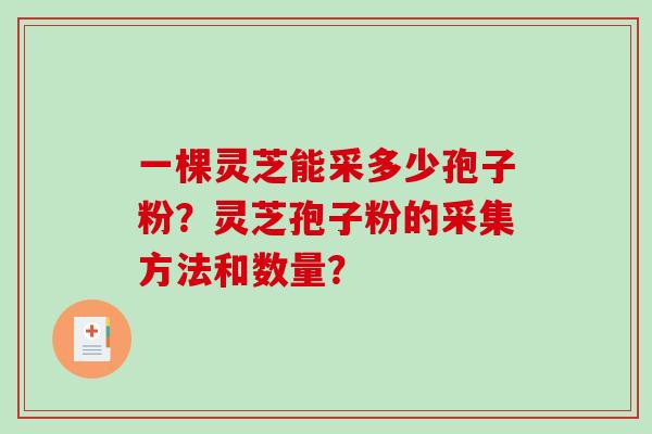 一棵灵芝能采多少孢子粉？灵芝孢子粉的采集方法和数量？-第1张图片-破壁灵芝孢子粉研究指南