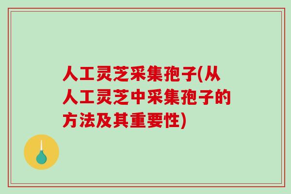 人工灵芝采集孢子(从人工灵芝中采集孢子的方法及其重要性)-第1张图片-破壁灵芝孢子粉研究指南