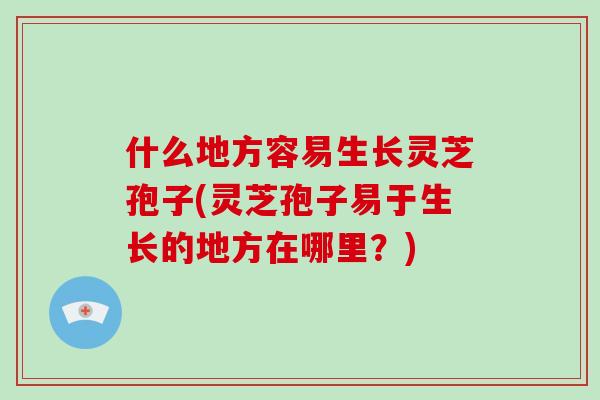 什么地方容易生长灵芝孢子(灵芝孢子易于生长的地方在哪里?)-第1张图片-破壁灵芝孢子粉研究指南 什么地方容易生长灵芝孢子(灵芝孢子易于生长的地方在哪里?)-第1张图片-破壁灵芝孢子粉研究指南