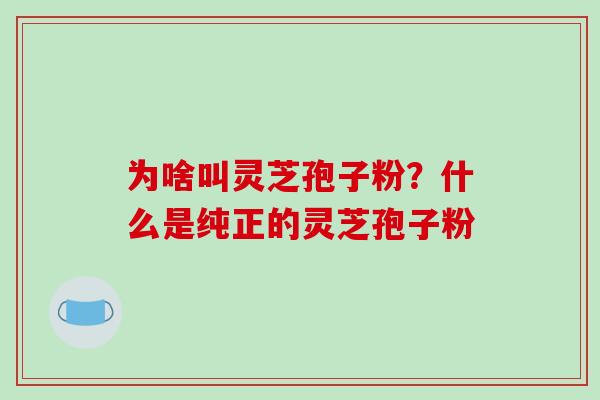 为啥叫灵芝孢子粉?什么是纯正的灵芝孢子粉-第1张图片-破壁灵芝孢子粉研究指南 为啥叫灵芝孢子粉?什么是纯正的灵芝孢子粉-第1张图片-破壁灵芝孢子粉研究指南