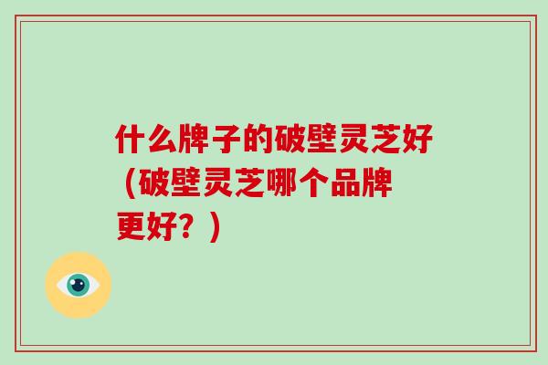 什么牌子的破壁灵芝好 (破壁灵芝哪个品牌更好？)-第1张图片-破壁灵芝孢子粉研究指南