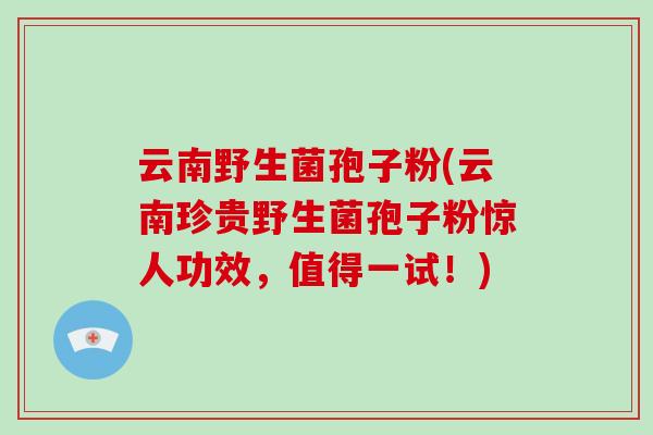 云南野生菌孢子粉(云南珍贵野生菌孢子粉惊人功效，值得一试！)-第1张图片-破壁灵芝孢子粉研究指南