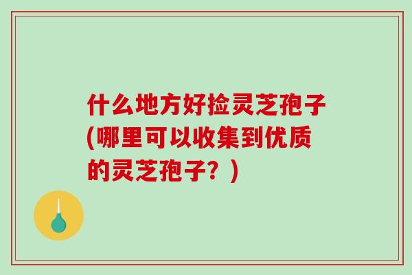 什么地方好捡灵芝孢子(哪里可以收集到优质的灵芝孢子?)-第1张图片-破壁灵芝孢子粉研究指南 什么地方好捡灵芝孢子(哪里可以收集到优质的灵芝孢子?)-第1张图片-破壁灵芝孢子粉研究指南