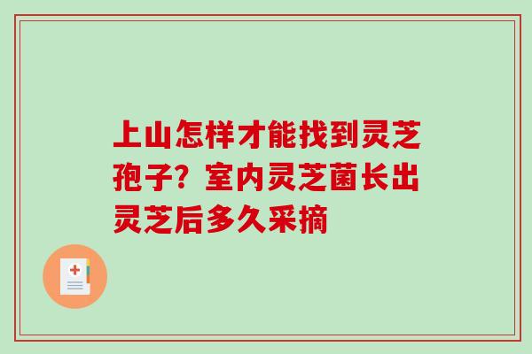 上山怎样才能找到灵芝孢子?室内灵芝菌长出灵芝后多久采摘-第1张图片-破壁灵芝孢子粉研究指南 上山怎样才能找到灵芝孢子?室内灵芝菌长出灵芝后多久采摘-第1张图片-破壁灵芝孢子粉研究指南