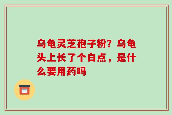 乌龟灵芝孢子粉?乌龟头上长了个白点,是什么要用药吗-第1张图片-破壁灵芝孢子粉研究指南 乌龟灵芝孢子粉?乌龟头上长了个白点,是什么要用药吗-第1张图片-破壁灵芝孢子粉研究指南
