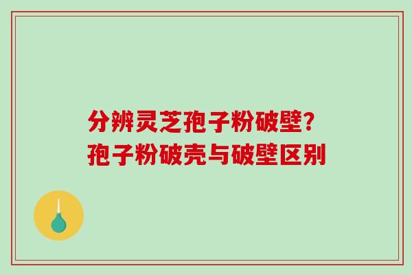 分辨灵芝孢子粉破壁?孢子粉破壳与破壁区别-第1张图片-破壁灵芝孢子粉研究指南 分辨灵芝孢子粉破壁?孢子粉破壳与破壁区别-第1张图片-破壁灵芝孢子粉研究指南