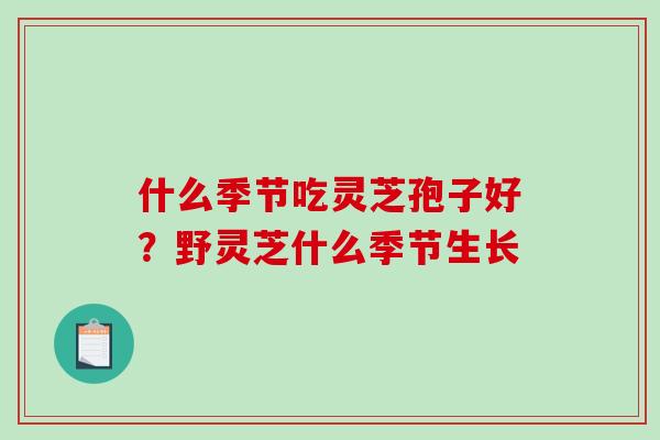 什么季节吃灵芝孢子好?野灵芝什么季节生长-第1张图片-破壁灵芝孢子粉研究指南 什么季节吃灵芝孢子好?野灵芝什么季节生长-第1张图片-破壁灵芝孢子粉研究指南