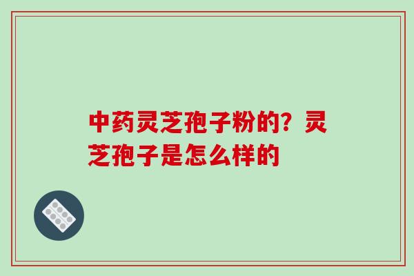 中药灵芝孢子粉的?灵芝孢子是怎么样的-第1张图片-破壁灵芝孢子粉研究指南 中药灵芝孢子粉的?灵芝孢子是怎么样的-第1张图片-破壁灵芝孢子粉研究指南