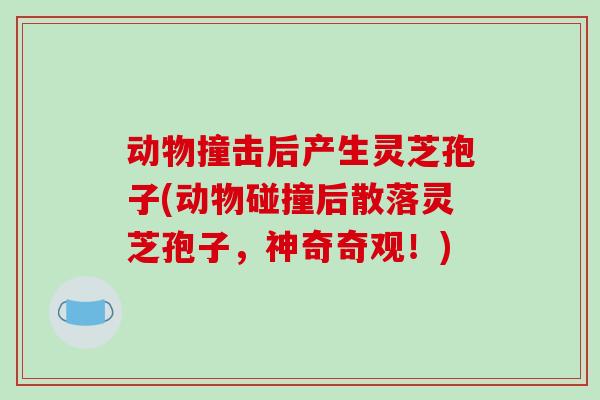 动物撞击后产生灵芝孢子(动物碰撞后散落灵芝孢子，神奇奇观！)-第1张图片-破壁灵芝孢子粉研究指南