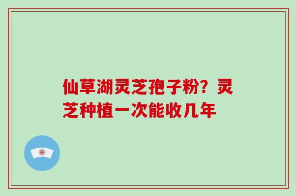 仙草湖灵芝孢子粉?灵芝种植一次能收几年-第1张图片-破壁灵芝孢子粉研究指南 仙草湖灵芝孢子粉?灵芝种植一次能收几年-第1张图片-破壁灵芝孢子粉研究指南