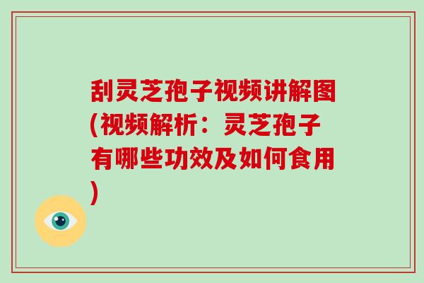 刮灵芝孢子视频讲解图(视频解析：灵芝孢子有哪些功效及如何食用)-第1张图片-破壁灵芝孢子粉研究指南
