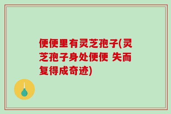 便便里有灵芝孢子(灵芝孢子身处便便 失而复得成奇迹)-第1张图片-破壁灵芝孢子粉研究指南 便便里有灵芝孢子(灵芝孢子身处便便 失而复得成奇迹)-第1张图片-破壁灵芝孢子粉研究指南