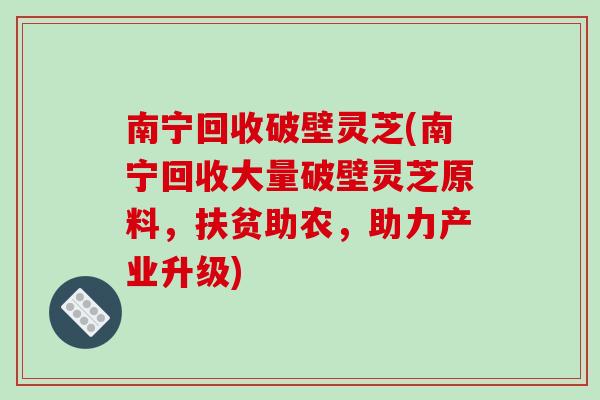 南宁回收破壁灵芝(南宁回收大量破壁灵芝原料,扶贫助农,助力产业升级)-第1张图片-破壁灵芝孢子粉研究指南 南宁回收破壁灵芝(南宁回收大量破壁灵芝原料,扶贫助农,助力产业升级)-第1张图片-破壁灵芝孢子粉研究指南