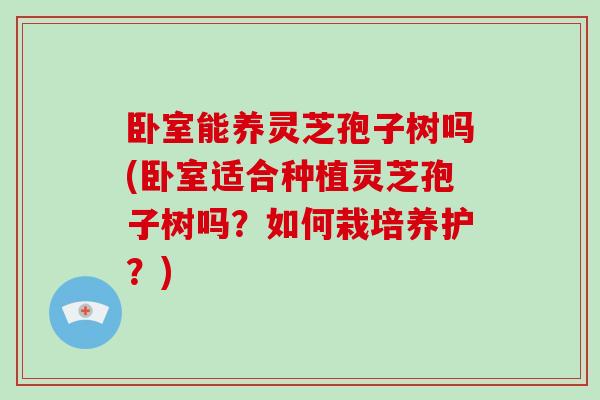 卧室能养灵芝孢子树吗(卧室适合种植灵芝孢子树吗?如何栽培养护?)-第1张图片-破壁灵芝孢子粉研究指南 卧室能养灵芝孢子树吗(卧室适合种植灵芝孢子树吗?如何栽培养护?)-第1张图片-破壁灵芝孢子粉研究指南