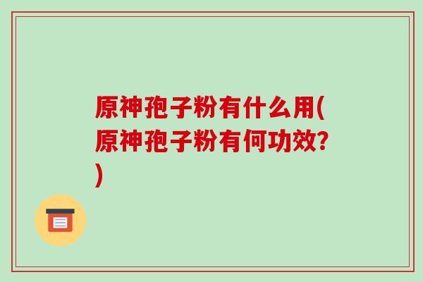 原神孢子粉有什么用(原神孢子粉有何功效?)-第1张图片-破壁灵芝孢子粉研究指南 原神孢子粉有什么用(原神孢子粉有何功效?)-第1张图片-破壁灵芝孢子粉研究指南
