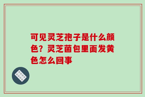 可见灵芝孢子是什么颜色？灵芝菌包里面发黄色怎么回事-第1张图片-破壁灵芝孢子粉研究指南