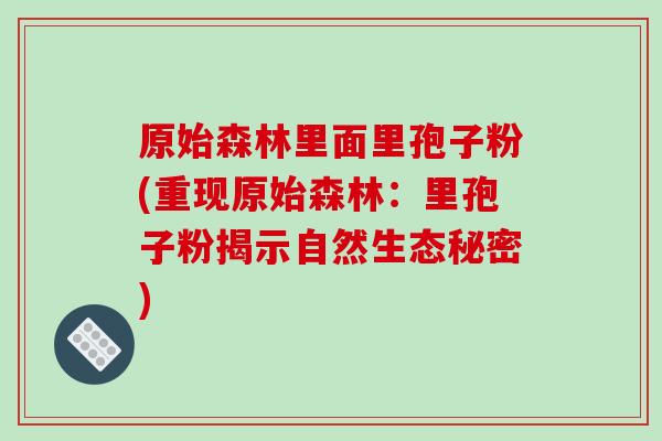 原始森林里面里孢子粉(重现原始森林:里孢子粉揭示自然生态秘密)-第1张图片-破壁灵芝孢子粉研究指南 原始森林里面里孢子粉(重现原始森林:里孢子粉揭示自然生态秘密)-第1张图片-破壁灵芝孢子粉研究指南