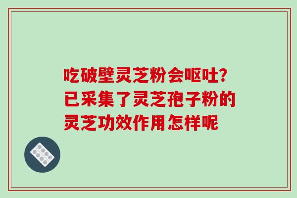 吃破壁灵芝粉会呕吐?已采集了灵芝孢子粉的灵芝功效作用怎样呢-第1张图片-破壁灵芝孢子粉研究指南 吃破壁灵芝粉会呕吐?已采集了灵芝孢子粉的灵芝功效作用怎样呢-第1张图片-破壁灵芝孢子粉研究指南