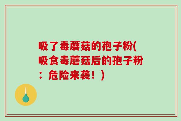 吸了毒蘑菇的孢子粉(吸食毒蘑菇后的孢子粉:危险来袭!)-第1张图片-破壁灵芝孢子粉研究指南 吸了毒蘑菇的孢子粉(吸食毒蘑菇后的孢子粉:危险来袭!)-第1张图片-破壁灵芝孢子粉研究指南