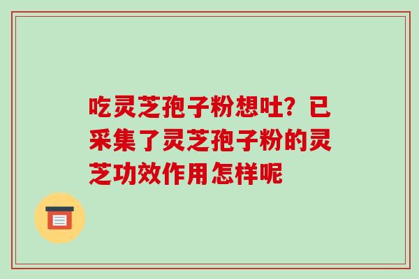 吃灵芝孢子粉想吐?已采集了灵芝孢子粉的灵芝功效作用怎样呢-第1张图片-破壁灵芝孢子粉研究指南 吃灵芝孢子粉想吐?已采集了灵芝孢子粉的灵芝功效作用怎样呢-第1张图片-破壁灵芝孢子粉研究指南