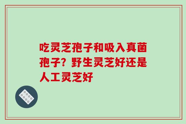 吃灵芝孢子和吸入真菌孢子?野生灵芝好还是人工灵芝好-第1张图片-破壁灵芝孢子粉研究指南 吃灵芝孢子和吸入真菌孢子?野生灵芝好还是人工灵芝好-第1张图片-破壁灵芝孢子粉研究指南
