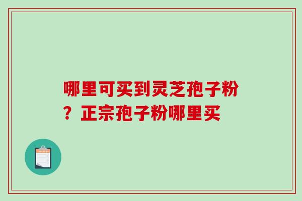 哪里可买到灵芝孢子粉?正宗孢子粉哪里买-第1张图片-破壁灵芝孢子粉研究指南 哪里可买到灵芝孢子粉?正宗孢子粉哪里买-第1张图片-破壁灵芝孢子粉研究指南