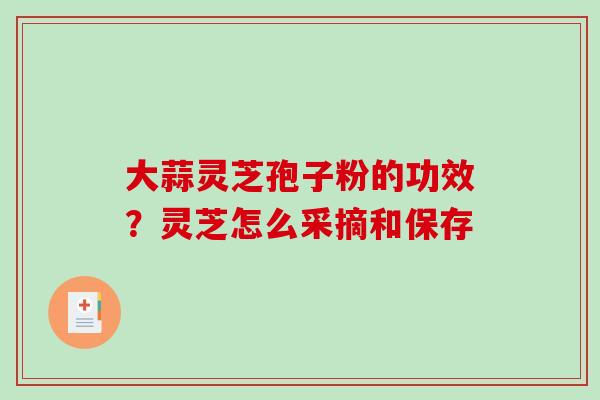 大蒜灵芝孢子粉的功效？灵芝怎么采摘和保存-第1张图片-破壁灵芝孢子粉研究指南