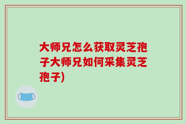 大师兄怎么获取灵芝孢子大师兄如何采集灵芝孢子)-第1张图片-破壁灵芝孢子粉研究指南