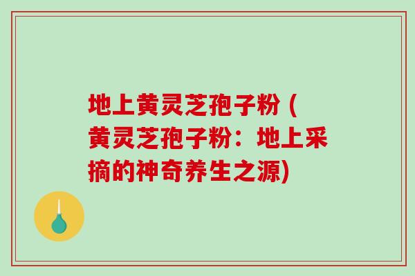 地上黄灵芝孢子粉 (黄灵芝孢子粉:地上采摘的神奇养生之源)-第1张图片-破壁灵芝孢子粉研究指南 地上黄灵芝孢子粉 (黄灵芝孢子粉:地上采摘的神奇养生之源)-第1张图片-破壁灵芝孢子粉研究指南