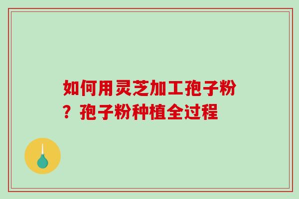如何用灵芝加工孢子粉?孢子粉种植全过程-第1张图片-破壁灵芝孢子粉研究指南 如何用灵芝加工孢子粉?孢子粉种植全过程-第1张图片-破壁灵芝孢子粉研究指南