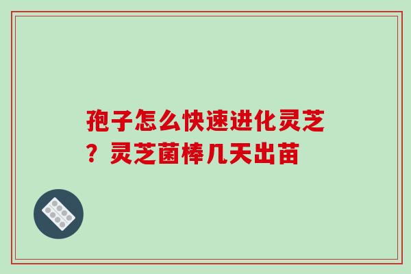 孢子怎么快速进化灵芝?灵芝菌棒几天出苗-第1张图片-破壁灵芝孢子粉研究指南 孢子怎么快速进化灵芝?灵芝菌棒几天出苗-第1张图片-破壁灵芝孢子粉研究指南
