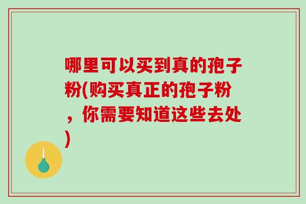 哪里可以买到真的孢子粉(购买真正的孢子粉,你需要知道这些去处)-第1张图片-破壁灵芝孢子粉研究指南 哪里可以买到真的孢子粉(购买真正的孢子粉,你需要知道这些去处)-第1张图片-破壁灵芝孢子粉研究指南