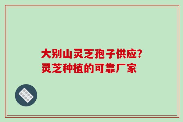大别山灵芝孢子供应?灵芝种植的可靠厂家-第1张图片-破壁灵芝孢子粉研究指南 大别山灵芝孢子供应?灵芝种植的可靠厂家-第1张图片-破壁灵芝孢子粉研究指南