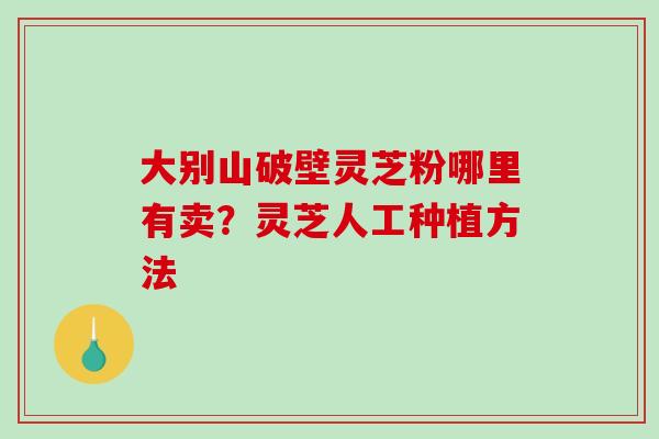 大别山破壁灵芝粉哪里有卖?灵芝人工种植方法-第1张图片-破壁灵芝孢子粉研究指南 大别山破壁灵芝粉哪里有卖?灵芝人工种植方法-第1张图片-破壁灵芝孢子粉研究指南