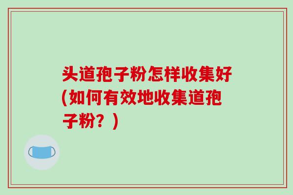 头道孢子粉怎样收集好(如何有效地收集道孢子粉?)-第1张图片-破壁灵芝孢子粉研究指南 头道孢子粉怎样收集好(如何有效地收集道孢子粉?)-第1张图片-破壁灵芝孢子粉研究指南