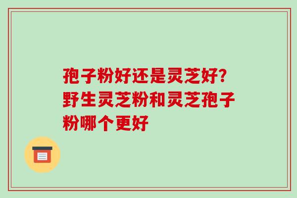 孢子粉好还是灵芝好?野生灵芝粉和灵芝孢子粉哪个更好-第1张图片-破壁灵芝孢子粉研究指南 孢子粉好还是灵芝好?野生灵芝粉和灵芝孢子粉哪个更好-第1张图片-破壁灵芝孢子粉研究指南