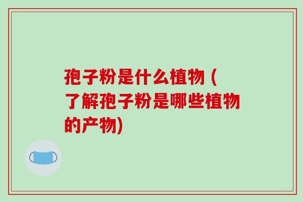 孢子粉是什么植物 (了解孢子粉是哪些植物的产物)-第1张图片-破壁灵芝孢子粉研究指南