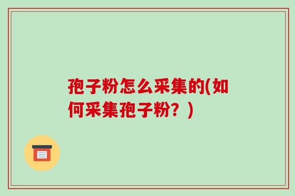孢子粉怎么采集的(如何采集孢子粉?)-第1张图片-破壁灵芝孢子粉研究指南 孢子粉怎么采集的(如何采集孢子粉?)-第1张图片-破壁灵芝孢子粉研究指南