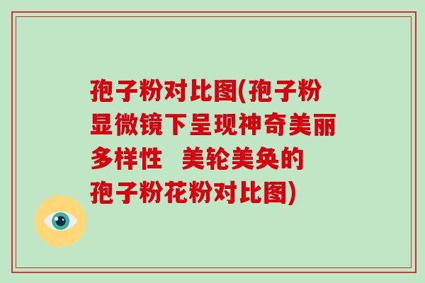 孢子粉对比图(孢子粉显微镜下呈现神奇美丽多样性 美轮美奂的孢子粉花粉对比图)-第1张图片-破壁灵芝孢子粉研究指南 孢子粉对比图(孢子粉显微镜下呈现神奇美丽多样性 美轮美奂的孢子粉花粉对比图)-第1张图片-破壁灵芝孢子粉研究指南
